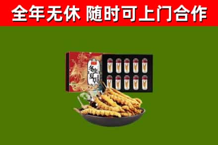 滴道回收冬虫夏草价格